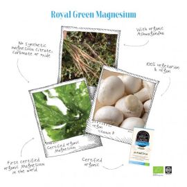 Magneziu BIO, Vitamina D2 și Ashwagandha, Royal Green, 60 capsule vegetale