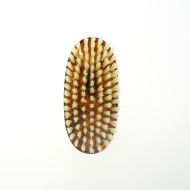 Perie ovala medie JASPE cu par natural moale de porc mistret 11 x 5 cm, Koh-I-Noor, 299